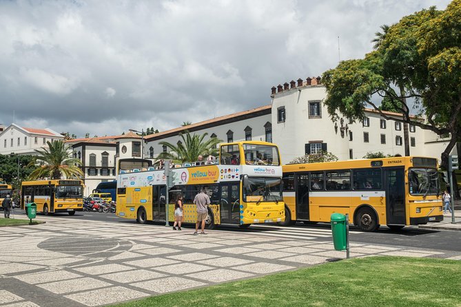 Hop-on Hop-off Bus Tour and Catamaran Whale & Dolphin Watching - Lido, São Martinho, and the coastal route