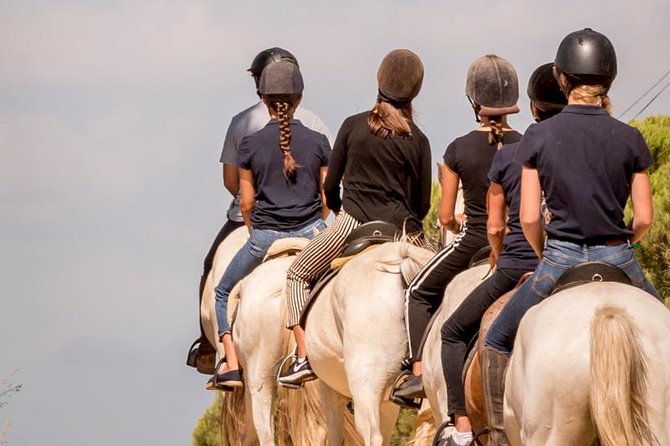 Horse Riding on the Beach - Is $98.84 a fair price?