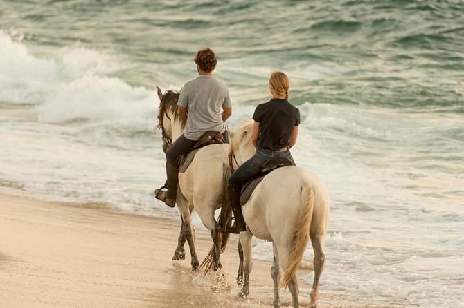 Horse Riding on the Beach - What beginners can expect from the guide