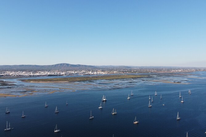 Islands Tour: Half Day Cruise in Ria Formosa Natural Park - FAQ