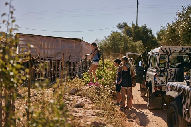 Jeep Safari Tour - Full Day - Alte gives you a gentle start