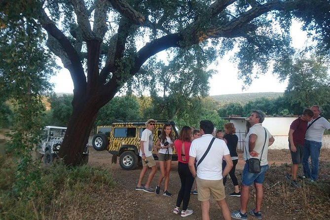Jeep Safari Tour - Full Day - Tastings make the day feel local