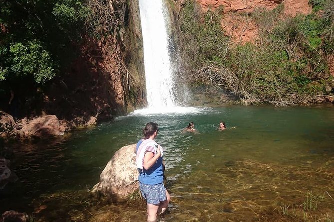 Jeep Safari Tour - Full Day - The Land Rover is part of the deal