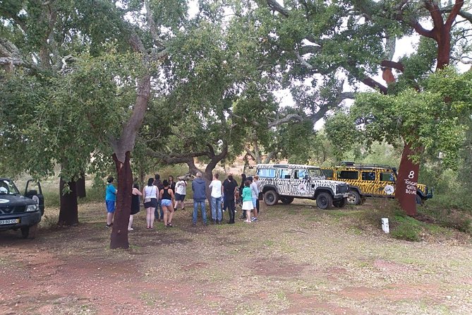 Jeep Safari Tour - Half Day - Farm produce, fruit, and traditional firewater