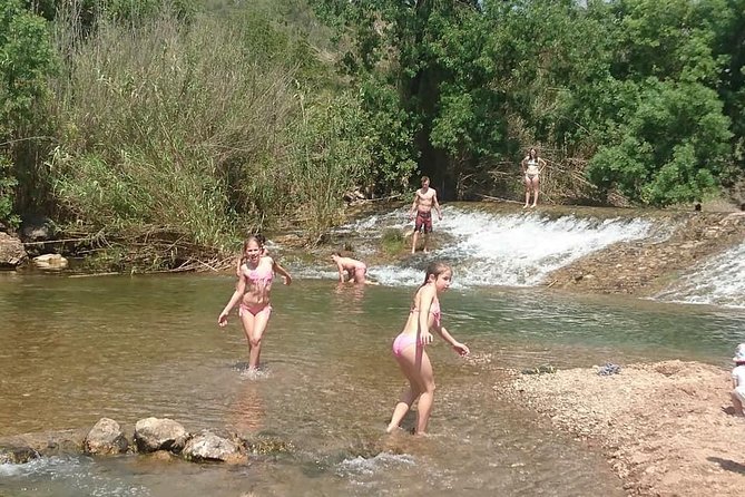 Jeep Safari Tour - Half Day - Pickup, clothing, and practical planning