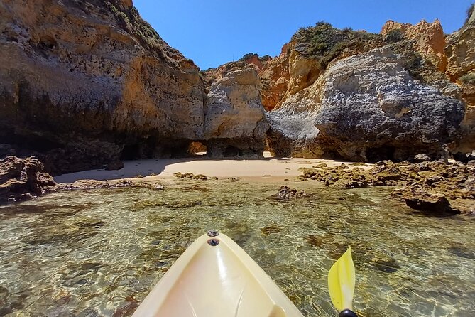 Kayak Adventure through the Ponta da Piedade Caves in Lagos - A swim and a slower ride back