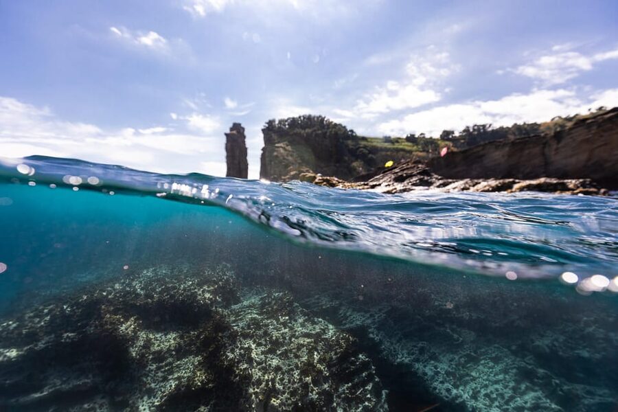 Kayak Guided Tour: Vila Franca do Campo Islet - Who should book this kayak trip