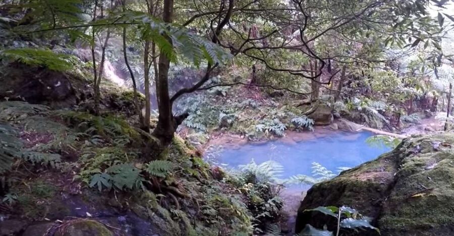Lagoa do Fogo: Guided Volcano Geo Tour w/ Hotsprings Bathing - Why Lagoa do Fogo makes a strong half-day trip