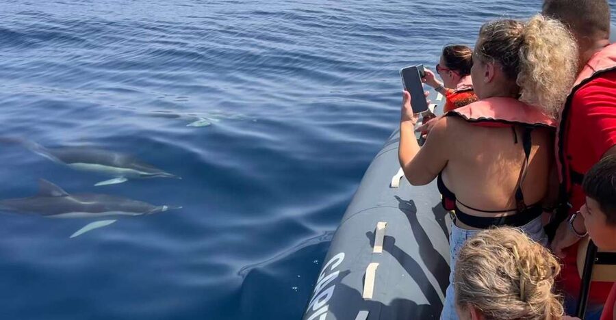 Lagoa: Dolphins Expedition with biologist guide on board - Leaving Parchal for the open Atlantic