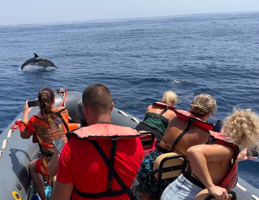Lagoa: Dolphins Expedition with biologist guide on board - A biologist turns sightings into understanding