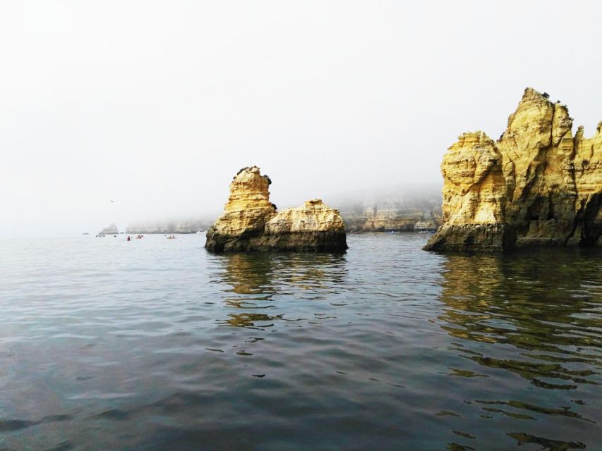 Lagos: Boat Trip to Grottos of Ponta da Piedade and Caves - What the $20 fare really buys you