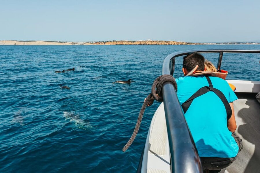 Lagos: Dolphin Watch Tour with Professional Marine Biologist - My advice before you reserve