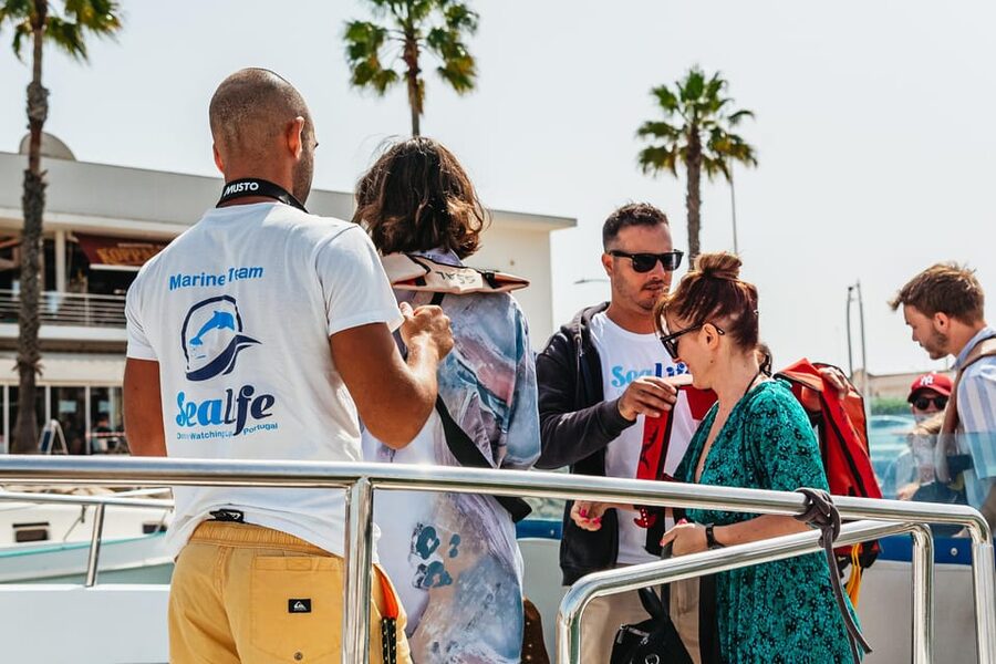 Lagos: Dolphin Watch Tour with Professional Marine Biologist - Choosing the best seat on the speedboat