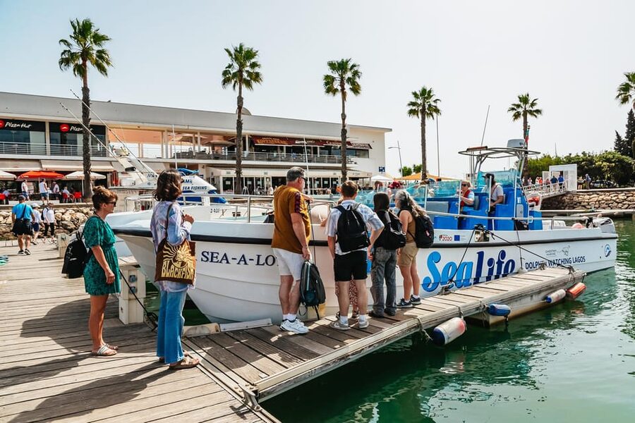 Lagos: Dolphin Watch Tour with Professional Marine Biologist - Who will enjoy this dolphin tour most