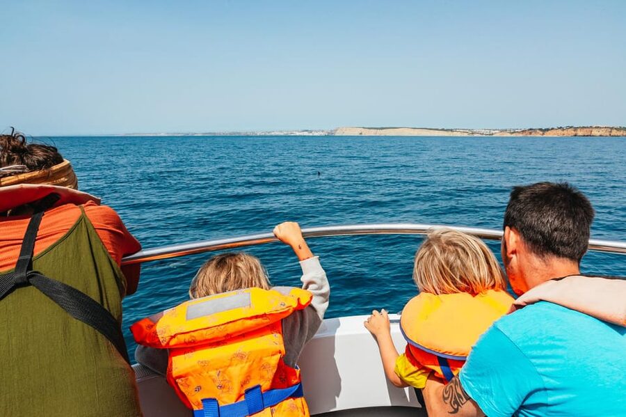 Lagos: Dolphin Watch Tour with Professional Marine Biologist - The 1.5-hour search for wild dolphins