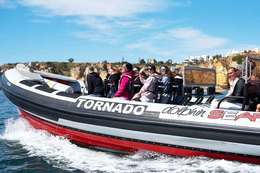 Lagos: Dolphin Watching with Professional Marine Biologists - What the 90-minute itinerary feels like