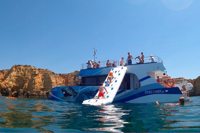 Lagos: Dolphins & Benagil Caves – Catamaran - Watching dolphins without a staged show