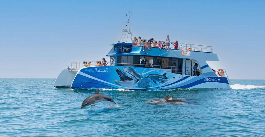 Lagos: Dolphins & Caves - Catamaran - What the Marine Biologist Adds