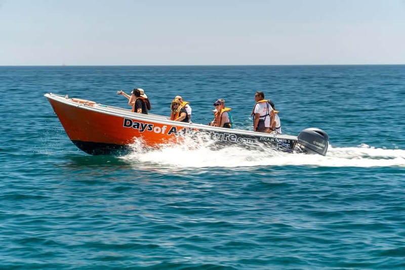 Lagos: Ponta da Piedade Caves Boat Tour - Entering the grottoes and natural arches