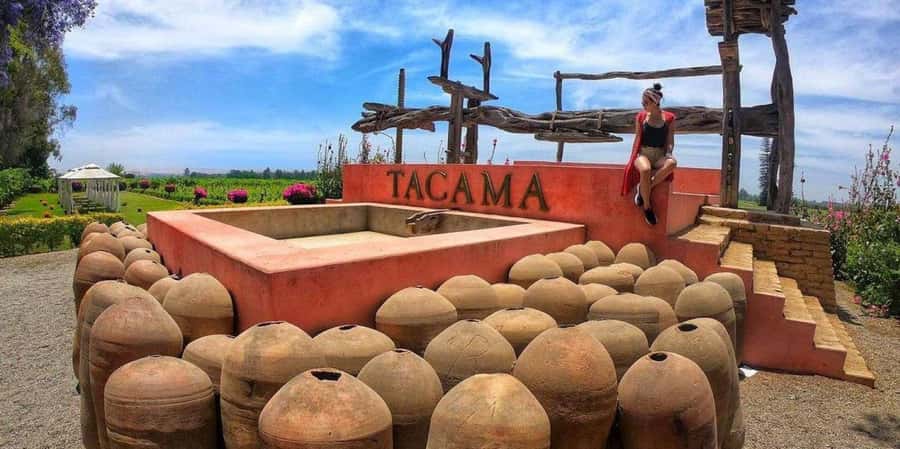Lagos/Praia da Luz: Wine Tour, Tastings, Tapas, and Music - Buying wine, jam, and regional products
