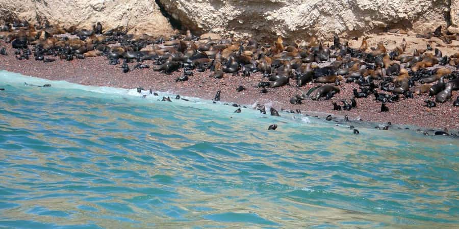 Lagos/Praia da Luz: Wine Tour, Tastings, Tapas, and Music - Who will enjoy this wine tour most