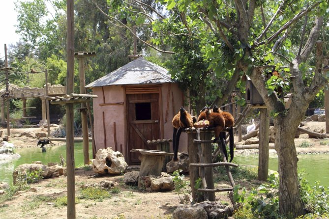 Lagos Zoo Admission Ticket - A change of pace from Lagos beaches