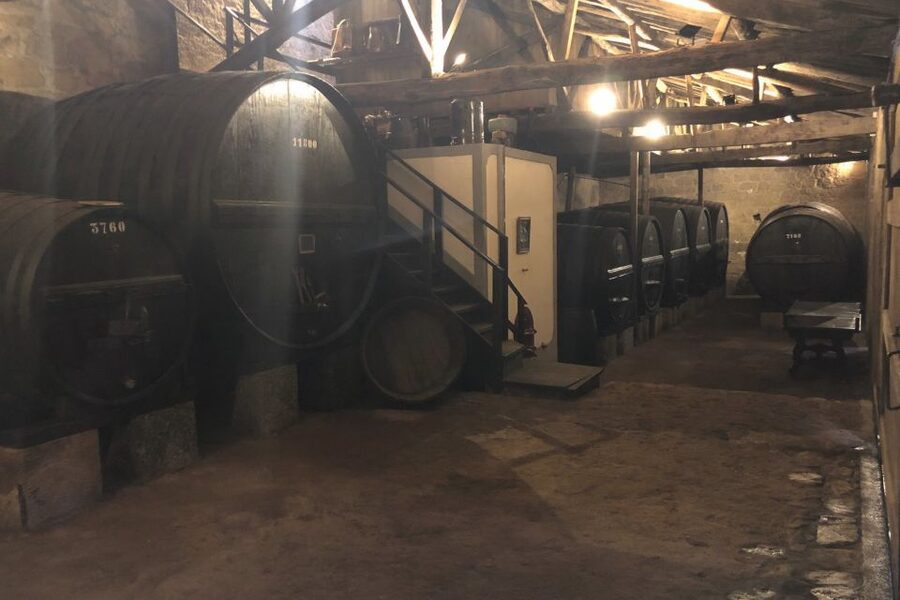 Lamego: Quinta da Portela de Baixo Winery Tour and Tasting - Six wines, generous pours, and a table full of snacks