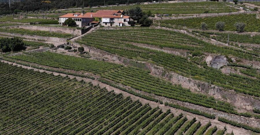 Lamego: Quinta da Portela de Baixo Winery Tour and Tasting - The view is part of what you are paying for