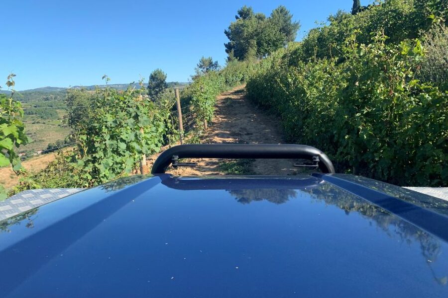 Lamego: Quinta da Portela de Baixo Winery Tour and Tasting - Walking the two farms