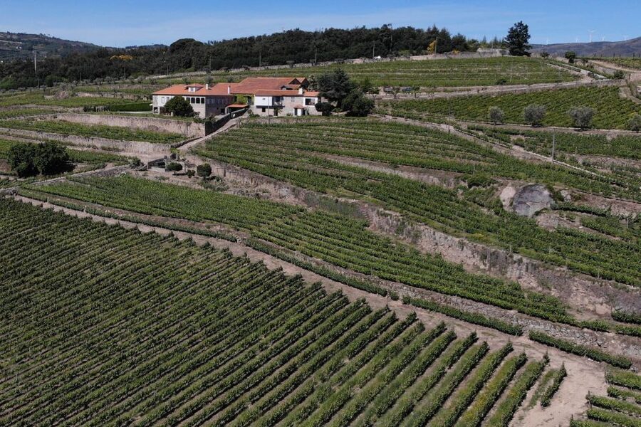 Lamego: Quinta da Portela de Baixo Winery Tour and Tasting - A few practical points before you book