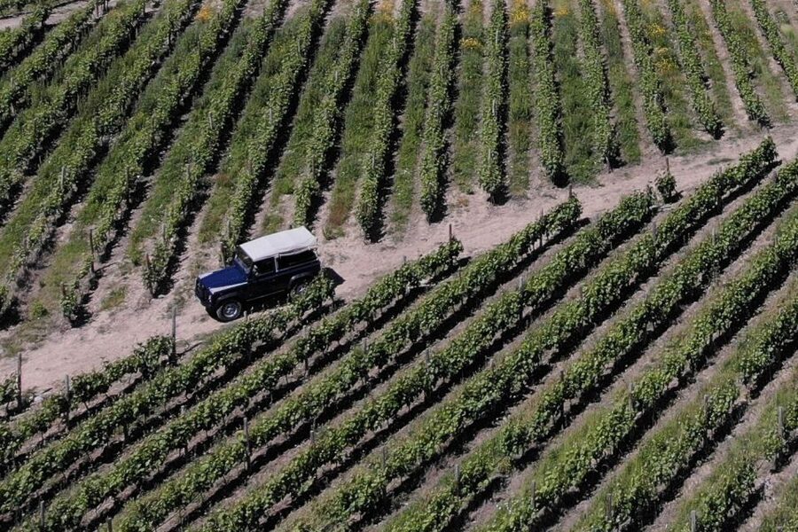 Lamego: Quinta da Portela de Baixo Winery Tour and Tasting - The old cellar museum tells the story first