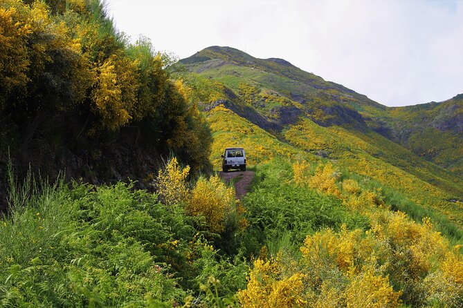 Let-Me-Surprise-You Private Full-Day Tour in All Terrain Vehicle - What the $302.34 price means