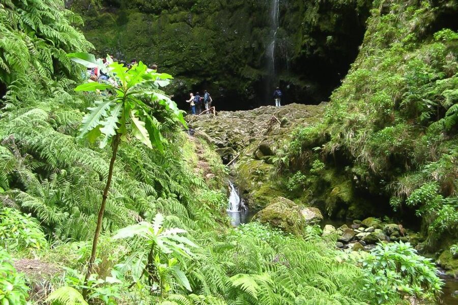 Levada Walk and Caldeirao Verde Waterfalls: Madeira - Key points at a glance