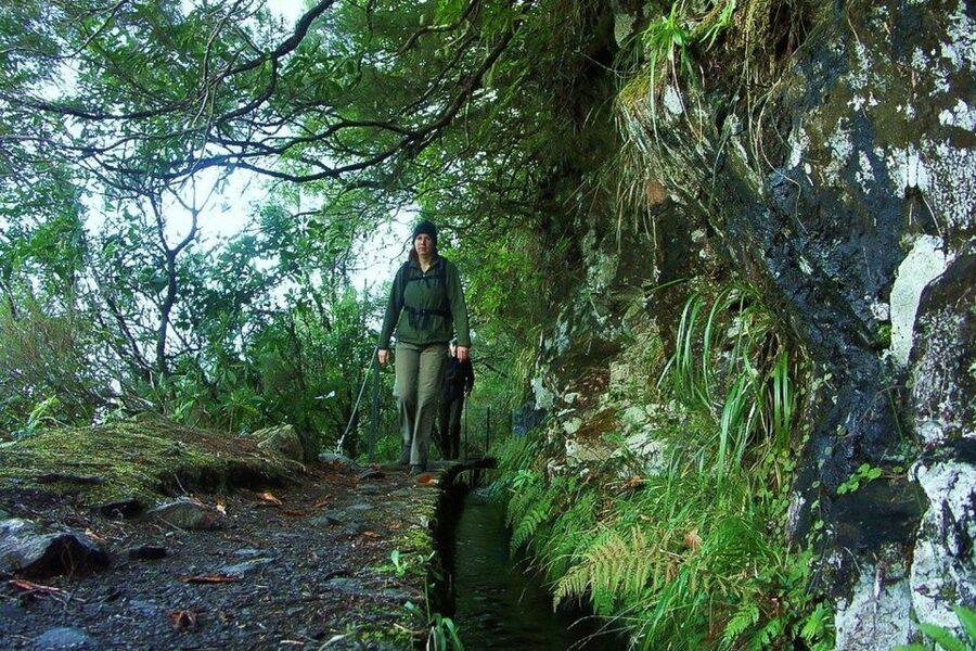 Levada Walk and Caldeirao Verde Waterfalls: Madeira - Why the Caldeirão Verde route is special