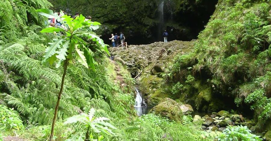 Levada Walk and Caldeirao Verde Waterfalls: Madeira - The first stretch through the forest