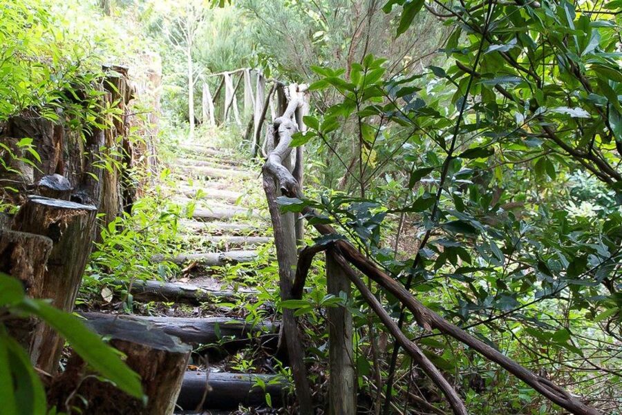 Levada Walk and Caldeirao Verde Waterfalls: Madeira - The return walk is part of the test
