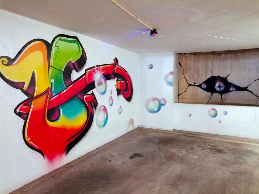 Lisbon: 2-Hour Street Art Photo Tour - From downtown streets to the castle hill