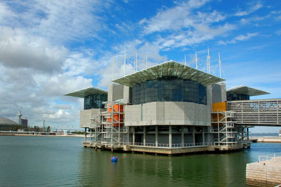 Lisbon: 3-in-1 Hop-On Hop-Off Bus and Tram Tours - Should you book the Lisbon 3-in-1 ticket?