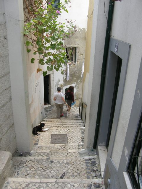 Lisbon: Alfama and São Jorge Castle Quarters Walking Tour - Key points to know before you book