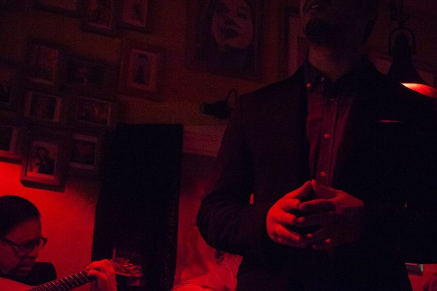 Lisbon: Alfama Tour and Live Fado with Traditional Dinner - What the Fado house is like
