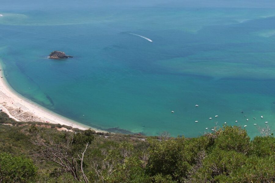 Lisbon: Arrábida and Sesimbra Day Trip with Wine - Guides, group size, and the feel of the day