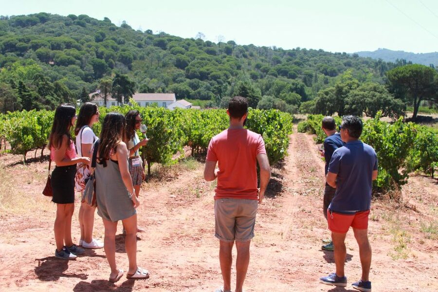 Lisbon: Arrábida and Sesimbra Day Trip with Wine - A family-run wine estate in the Azeitão area