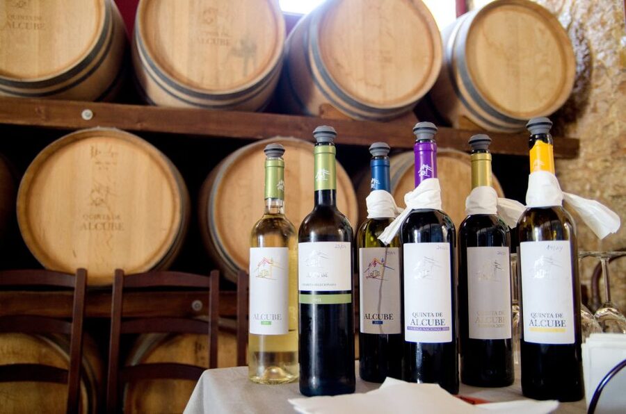 Lisbon: Arrábida and Sesimbra Day Trip with Wine - The return to Lisbon and Christ the King