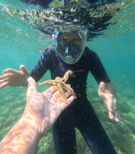 Lisbon: Arrábida Kayak & Wild Beach Snorkeling with Pickup - Timing, comfort, and what to pack