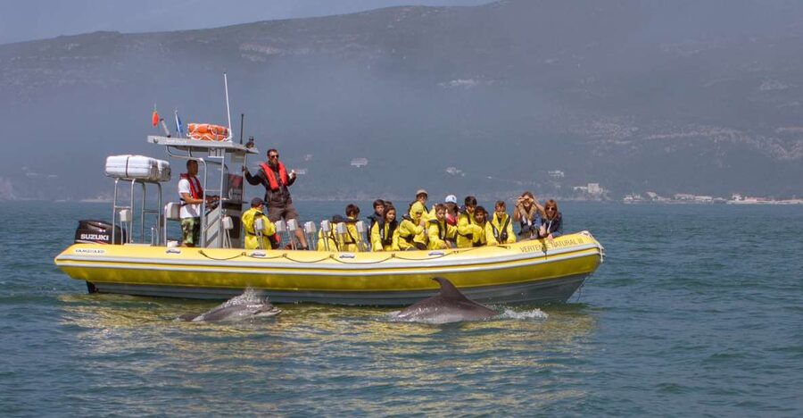 Lisbon: Arrábida Natural Park Dolphin Watching Boat Tour - Setting Out in a Semi-Inflatable Boat