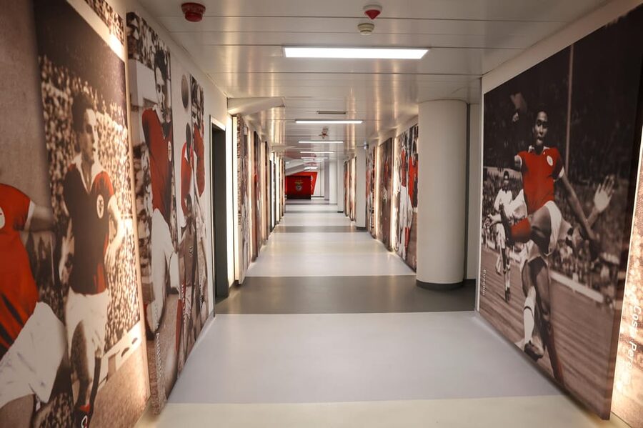 Lisbon: Benfica Luz Stadium Tour with Souvenir Scarf - Hall of Fame, VR, and the tunnel to the pitch