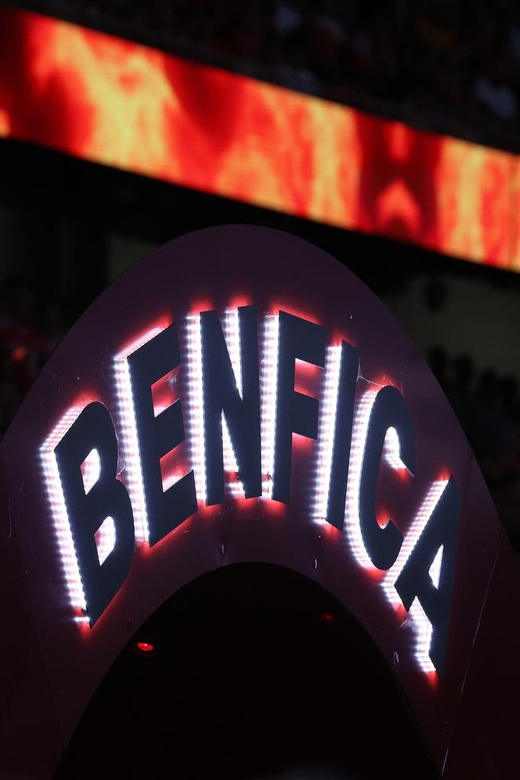 Lisbon: Benfica Luz Stadium Tour with Souvenir Scarf - Walking onto the Luz Stadium pitch