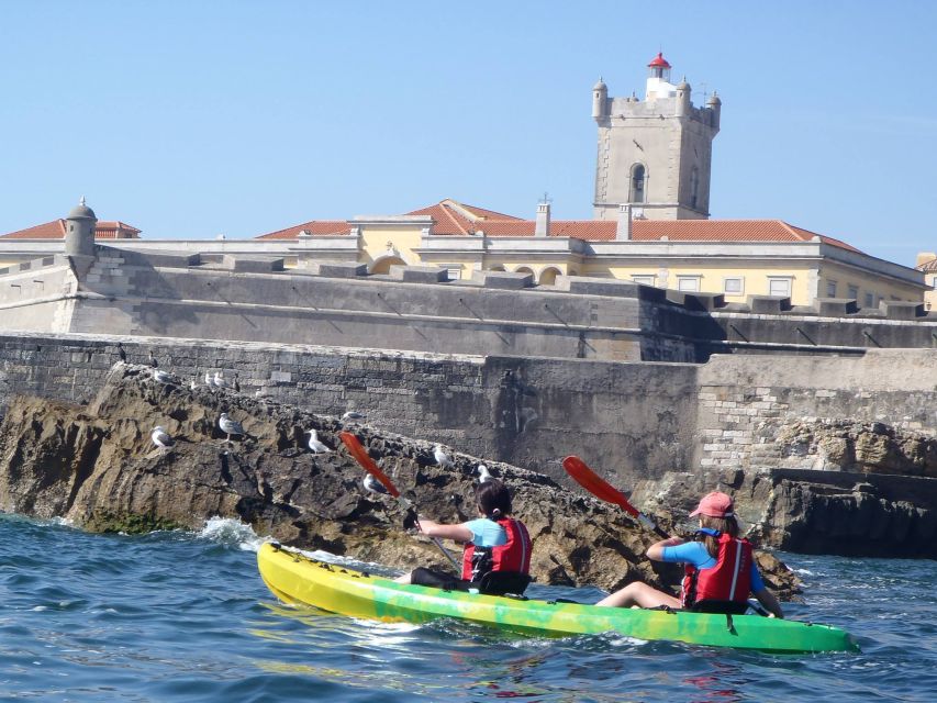 Lisbon: Coast Guided Kayak Tour - Getting to BORK Kayak and Outdoor Centre