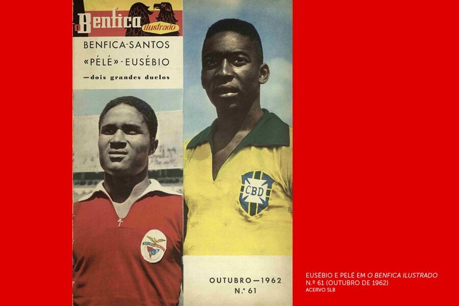 Lisbon: Customized Luz Stadium and Guided Museum Tour - Planning around football matches