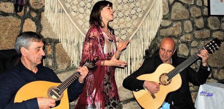 Lisbon Dinner with Fado Show and Sights by Night - Alfama brings the Fado portion into focus